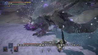 ぼっち守護者は常夜エデレノーダメ撃破の夢を見るか【ELDEN RING NIGHTREIGN】
