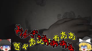 【ゆっくり実況】霊夢と魔理沙のドキドキ廃墟探索 part1【凶寓】