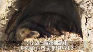 【音楽と動物眺め】井の頭自然文化園 Vol.2