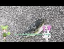 イタコのへっぽこ釣り日記　一分釣り動画祭2025