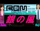 【Reiko＆Reiji】銀の風【カバー曲】