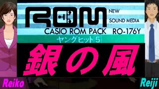 【Reiko＆Reiji】銀の風【カバー曲】