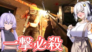 【EFT】# 295　ボルトアクションで使えるあかりちゃんイチオシ弾薬があるらしい【タルコフ/紲星あかり】
