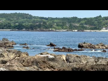 宮城県気仙沼市岩井崎2　気仙沼湾を望む　拡大　2025　0712