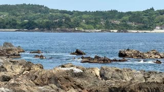 宮城県気仙沼市岩井崎2　気仙沼湾を望む　拡大　2025　0712