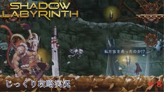 【SHADOW LABYRINTH】第8回　塔の頂上を目指せ　じっくり攻略実況　シャドウラビリンス