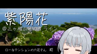 六花さんが紫陽花を見に行くだけ【ローなテンションの六花さん】