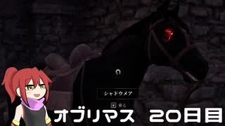 オブリマス 20日目　掏摸