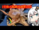 船に乗って瀬戸内海へ ＃1分釣り動画投稿祭2025【VOICEROIDフィッシング】