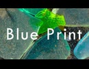 【MV】Blue Print feat.misumi