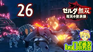 【26】アッカレ砦の防衛！ゼルダ無双 厄災の黙示録を実況学習【VTuber】