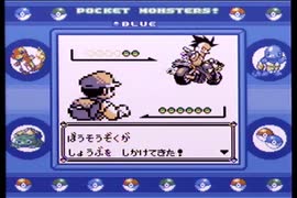 【ポケットモンスター青】殿堂入りを目指して Part18【14・15番道路】