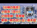 【沿線の風景】小田急小田原線・多摩線［急行］新宿～新百合ヶ丘～唐木田 【Google Earth Pro】