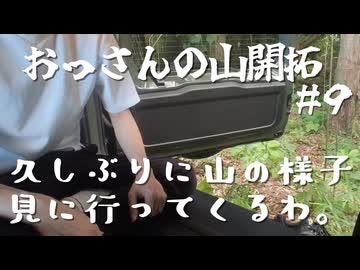 久しぶりに山の様子見に行くか【おっさんの山開拓#9】