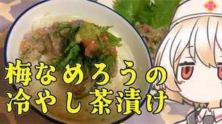 梅のなめろうと冷やし茶漬け【ナースロボ】