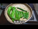 青唐辛子【長火鉢とおっさん 410】