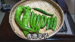 青唐辛子【長火鉢とおっさん 410】