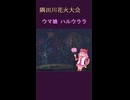 【ウマ娘】隅田川花火大会【ハルウララ】