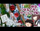 【VOICEROID車載】休日「ゆるぐだ」ツーリング記【宇部風鈴まつり】