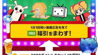 本日の福引記録65