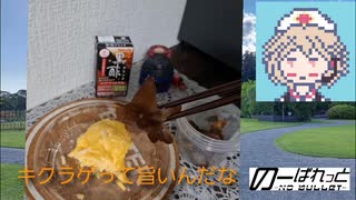 【オムレツ】オムレッツゴー 3期【ナースロボ】