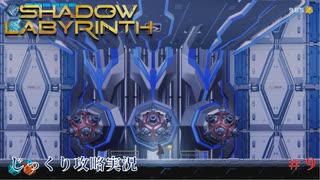 【SHADOW LABYRINTH】第9回　塔の頂上を目指せ　じっくり攻略実況　シャドウラビリンス