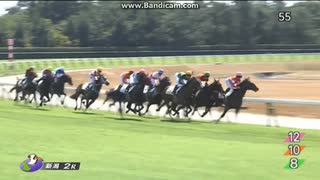 ヒルデグリム　2歳新馬