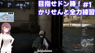 【PUBG】目指せドン勝！かりせんと全力練習