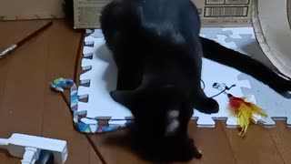 一人遊びこま