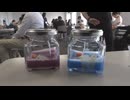 夏休みの子供たちが環境について学ぶ「廃食油をリサイクル！わくわくエコキャンドル作り」