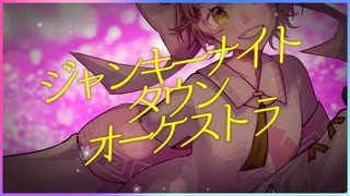 【歌ってみた】ジャンキーナイトタウンオーケストラ【味玉なると】