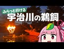 宇治川の鵜飼へ！ふらっと行ける夏の京都の夕涼み