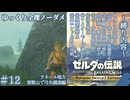 『9種の縛りプレイ＃12』ノーダメージでヴァ・ルッタ攻略の準備を進める全裸リンク【ゼルダの伝説ブレスオブザワイルドswitch２エディション/ゆっくり実況】