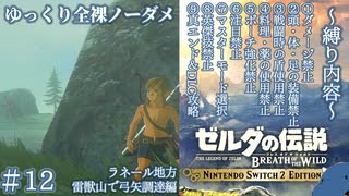 『9種の縛りプレイ＃12』ノーダメージでヴァ・ルッタ攻略の準備を進める全裸リンク【ゼルダの伝説ブレスオブザワイルドswitch２エディション/ゆっくり実況】