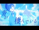 青のすみか 歌ってみた/chenirl