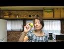 A receita de Umeshu 梅酒 , licor de ume (plum) japonesa.(sake sorbet by three japanese)