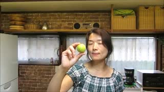 A receita de Umeshu 梅酒 , licor de ume (plum) japonesa.(sake sorbet by three japanese)