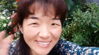 のまさんち「As flores do meu quintal do Outuno」