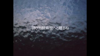 サボテンの発芽 feat.ナースロボ_タイプt
