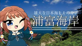 【鳥取観光】日本海の荒波が作り出した絶景、浦富海岸□