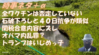 利益の９割を米国が取る←トラ大の成果過大報告では？ｂｙ青山まさゆき！ピザゲート・ロシアゲート・公的メールの私的流用問題：トランプｖｓオバマ・ヒラリー最終戦争ｂｙ及川幸久！ワクチン！【アラ還・読書中毒】