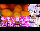 【今年の自家製ウイスキー梅酒】ゆかりのふらっと隠れ家 第２期 ♭522【ハイボール祭り夏の陣2025】