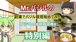 【特別編】水耕栽培バジルセットの説明書