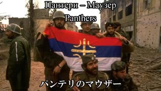【セルビア音楽】Paneri Mauzer(パンテリのマウザー)