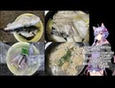 ちょっとそこまで釣～りんぐ【１分間釣り動画投稿祭2025】東京湾トラフグ【結月ゆかり】