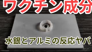 ワクチンの成分　水銀、アルミニウム（普通に表記されてる）内海聡も言及してるしガチ　化学反応が人殺しやる気満々