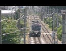 【のら】リゾートビューふるさと