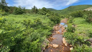福島県　浄土平5　浄土平湿原の様子　2025　0719