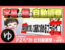 【字幕を効率化】YMM4アスペクト比自動調整プラグイン紹介動画【YMM4】【YMM4Plugin】