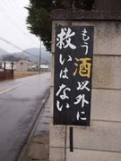 #863 もういや